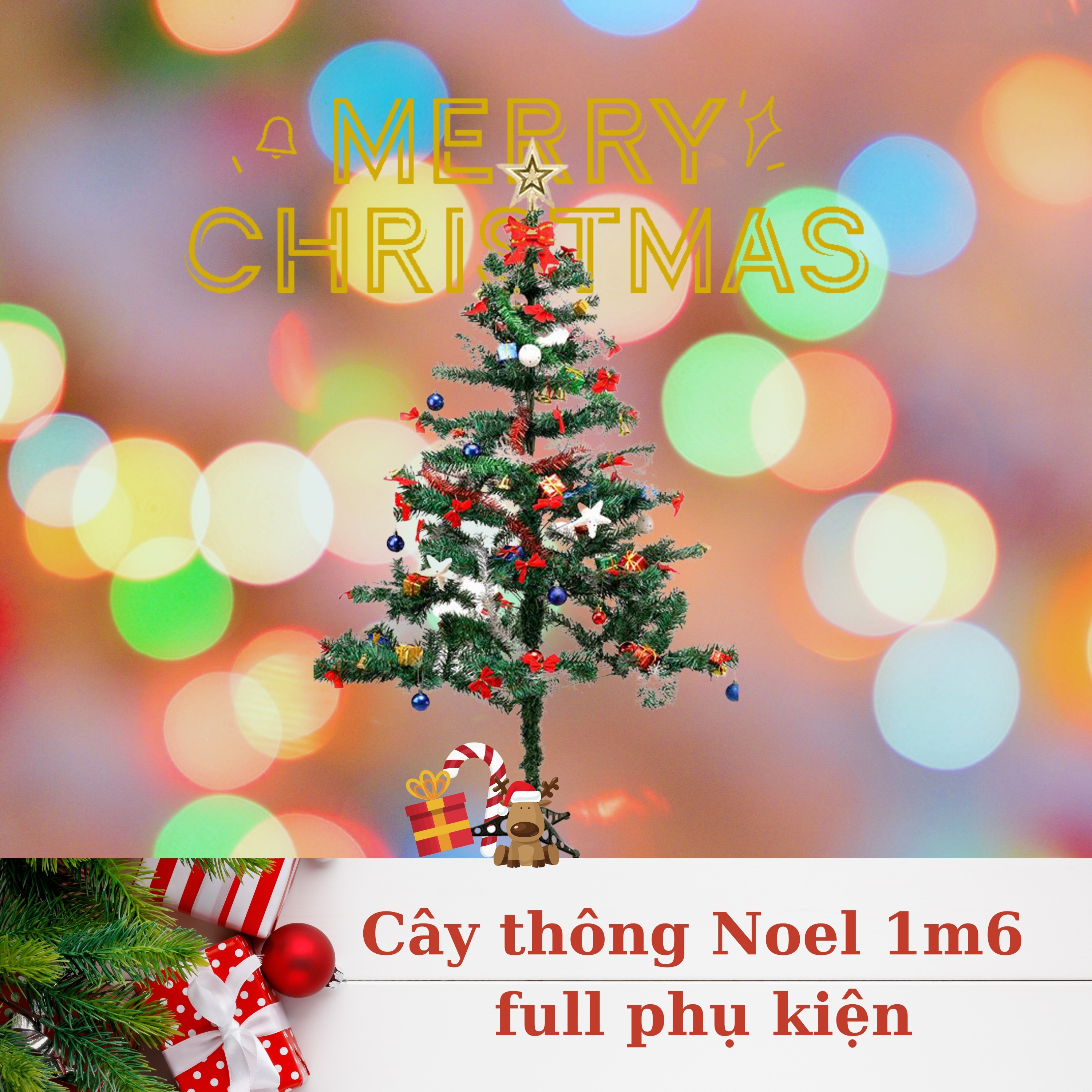 Cây thông Noel 1,6m trang trí cho mùa giáng sinh an lành tặng kèm phụ kiện đầy đủ - Cây thông Noel full phụ kiện