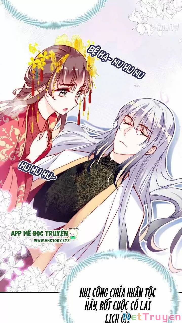 lại bị bệnh chiều chuộng quấn lấy chapter 6 5