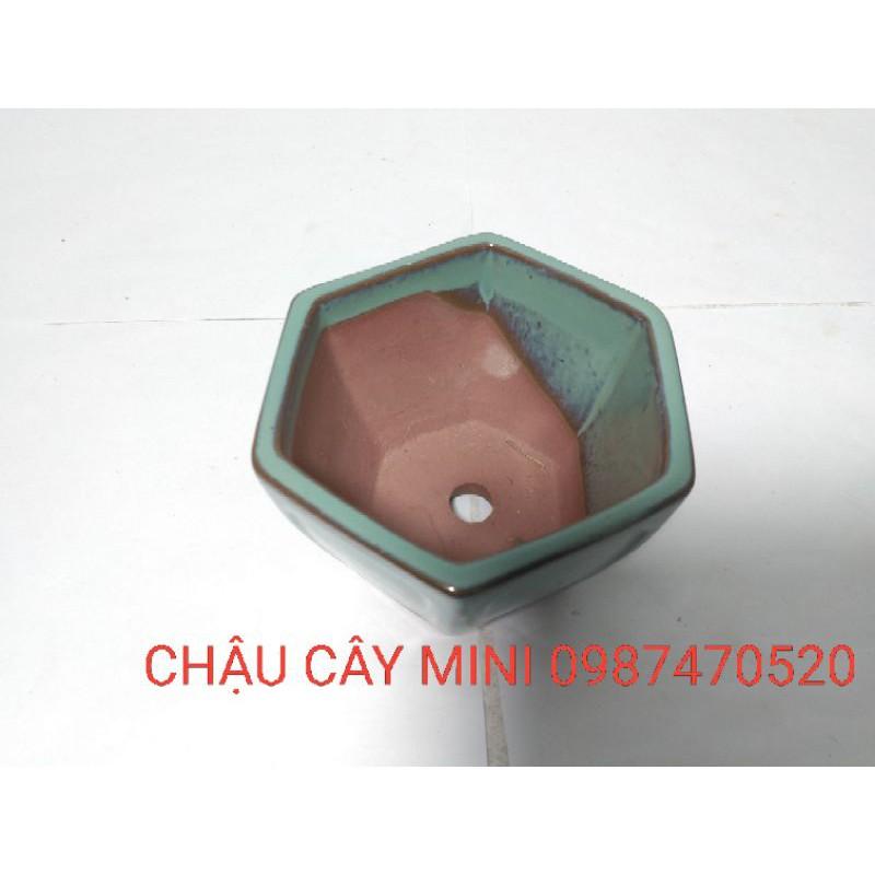 Chậu lục giác cao mini L02,chậu cây cảnh mini, chậu trồng cây bonsai