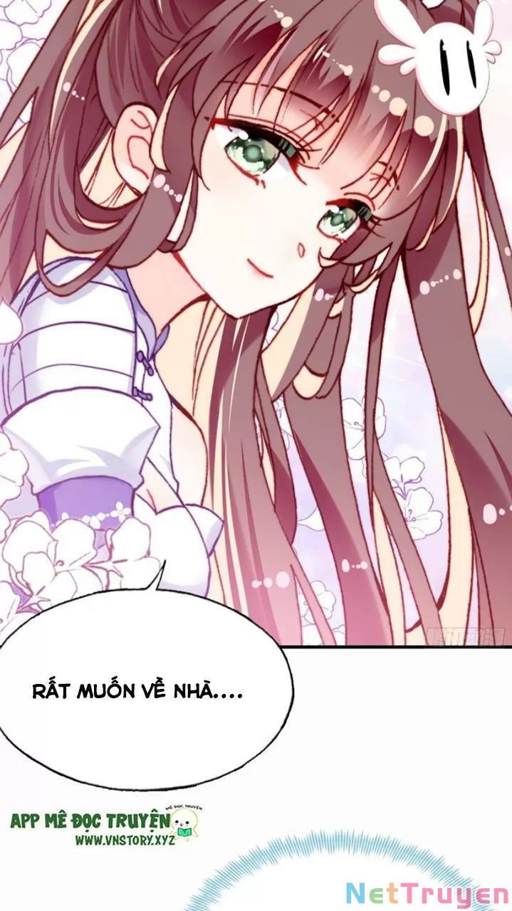 lại bị bệnh chiều chuộng quấn lấy chapter 19 39