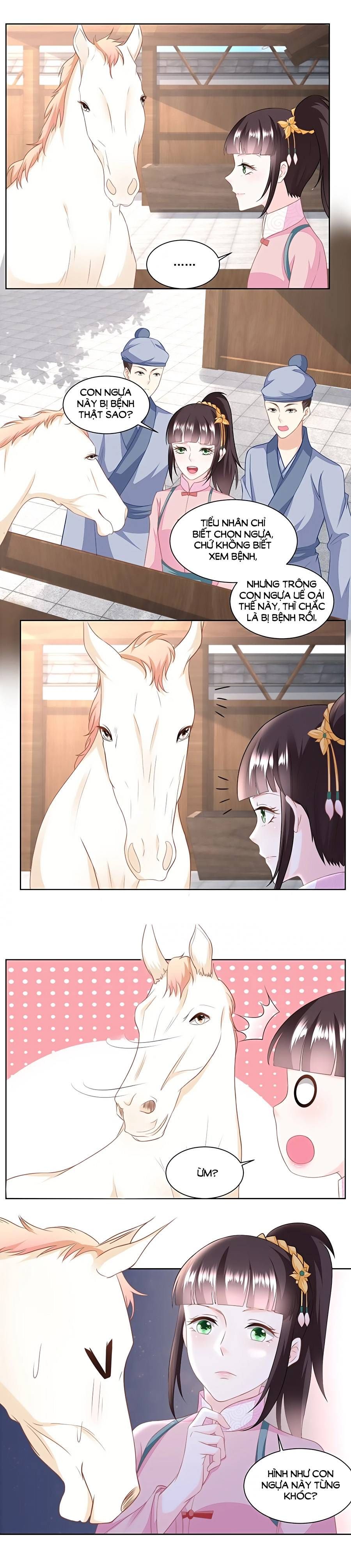 nông nữ thù sắc chapter 141 8