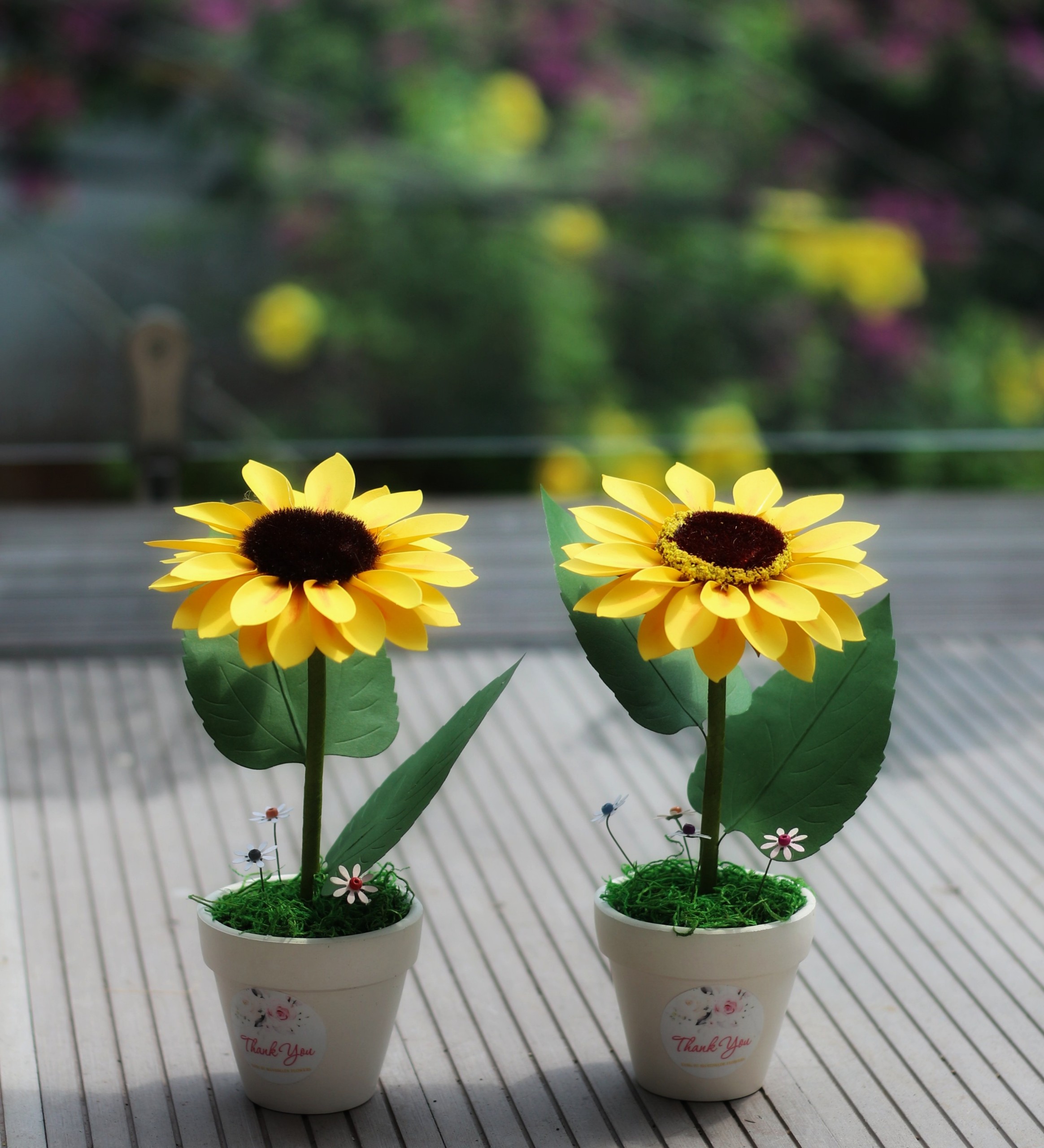 2 Chậu hoa Hướng dương mini decor