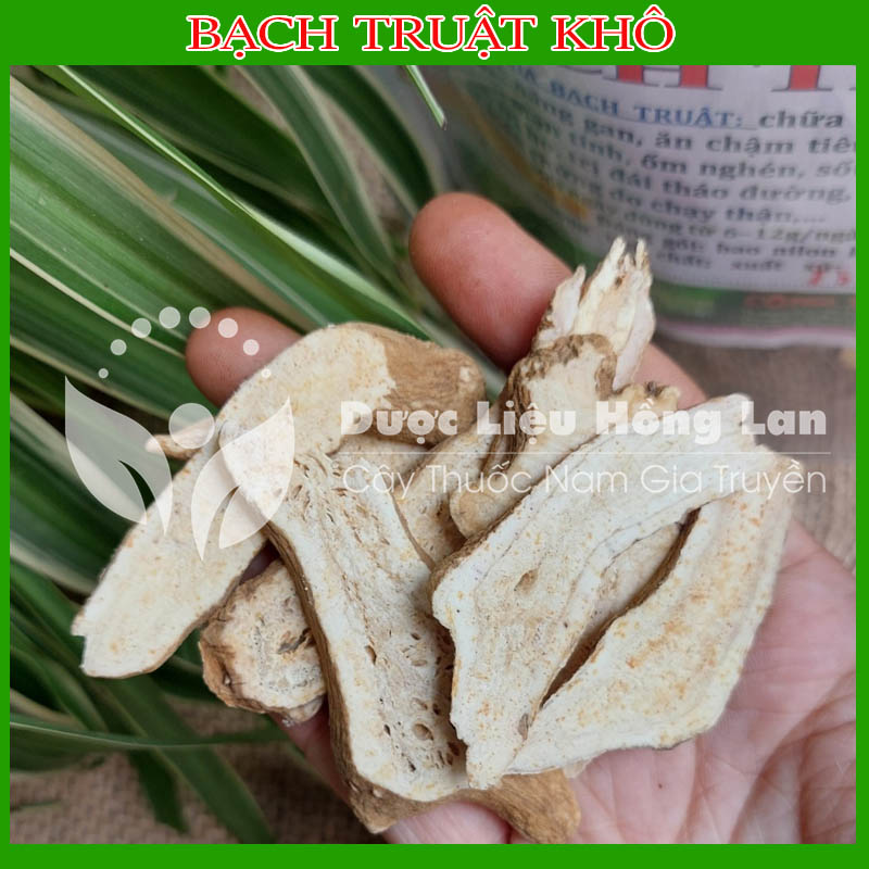 100gram Bạch truật đồng vị thuốc bắc khô sạch