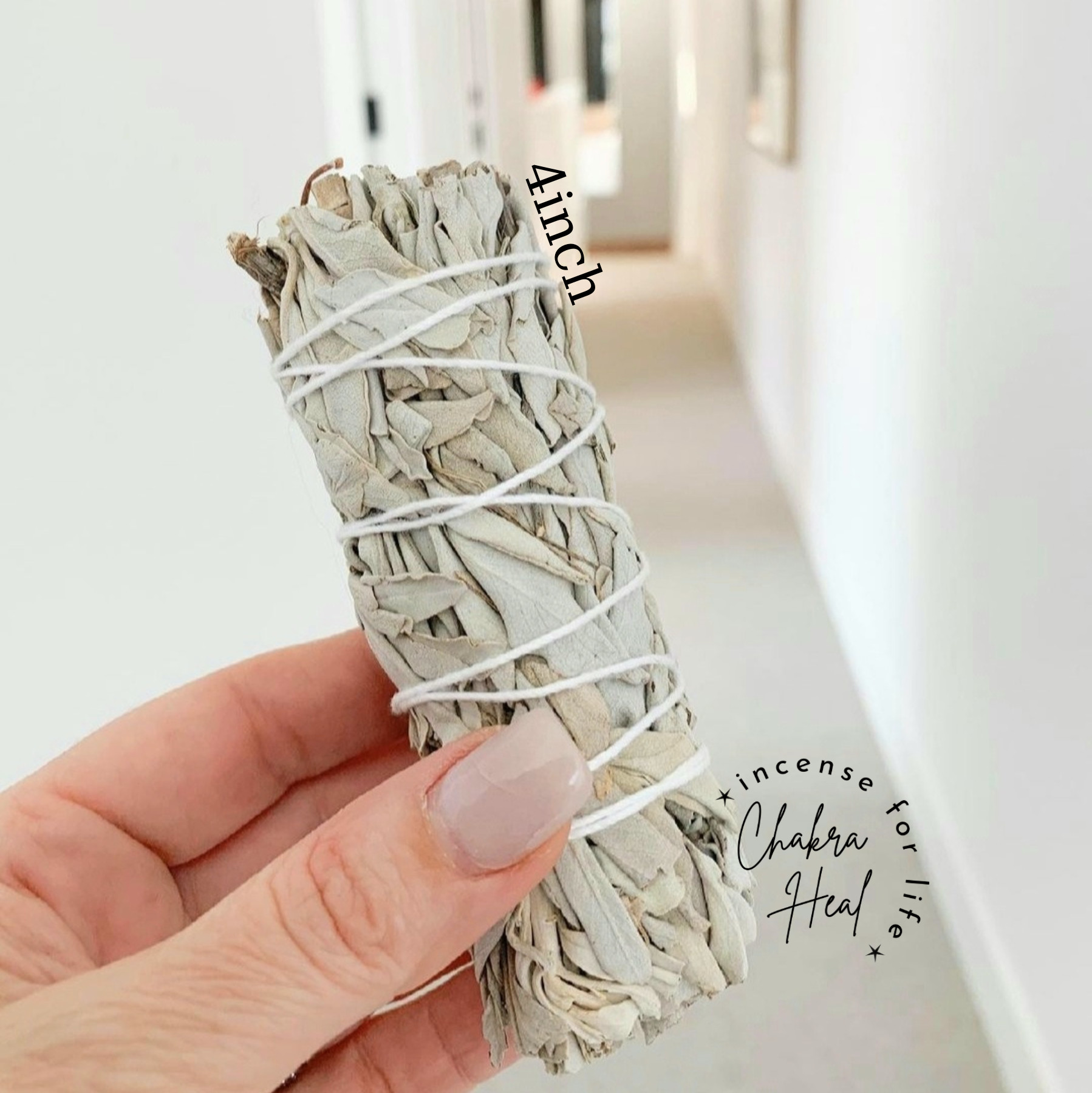 White Sage Smugde - Xô Thơm Trắng Thanh Lọc Năng Lượng l Chakra Heal Incense