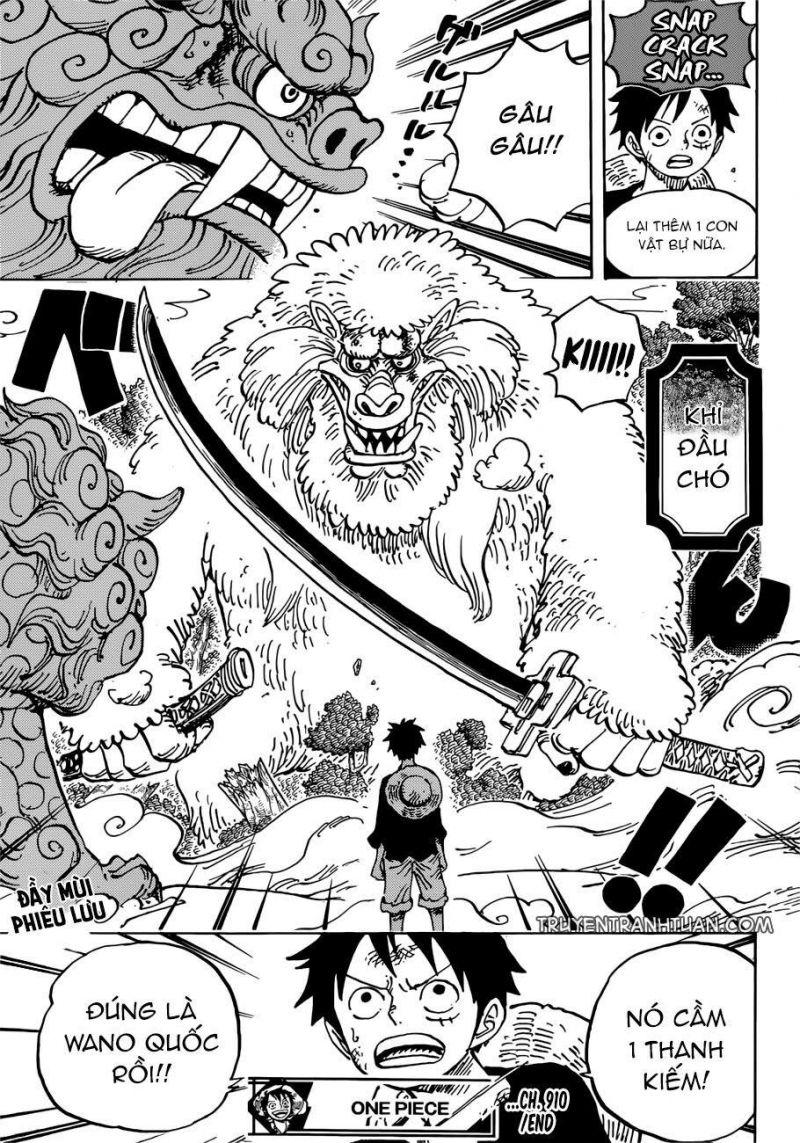 đảo hải tặc - one piece chapter 910 12