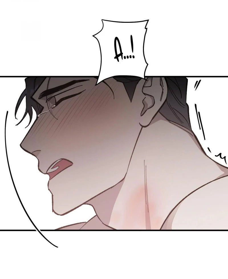 đóa hoa của mặt trời chapter 9.5 2