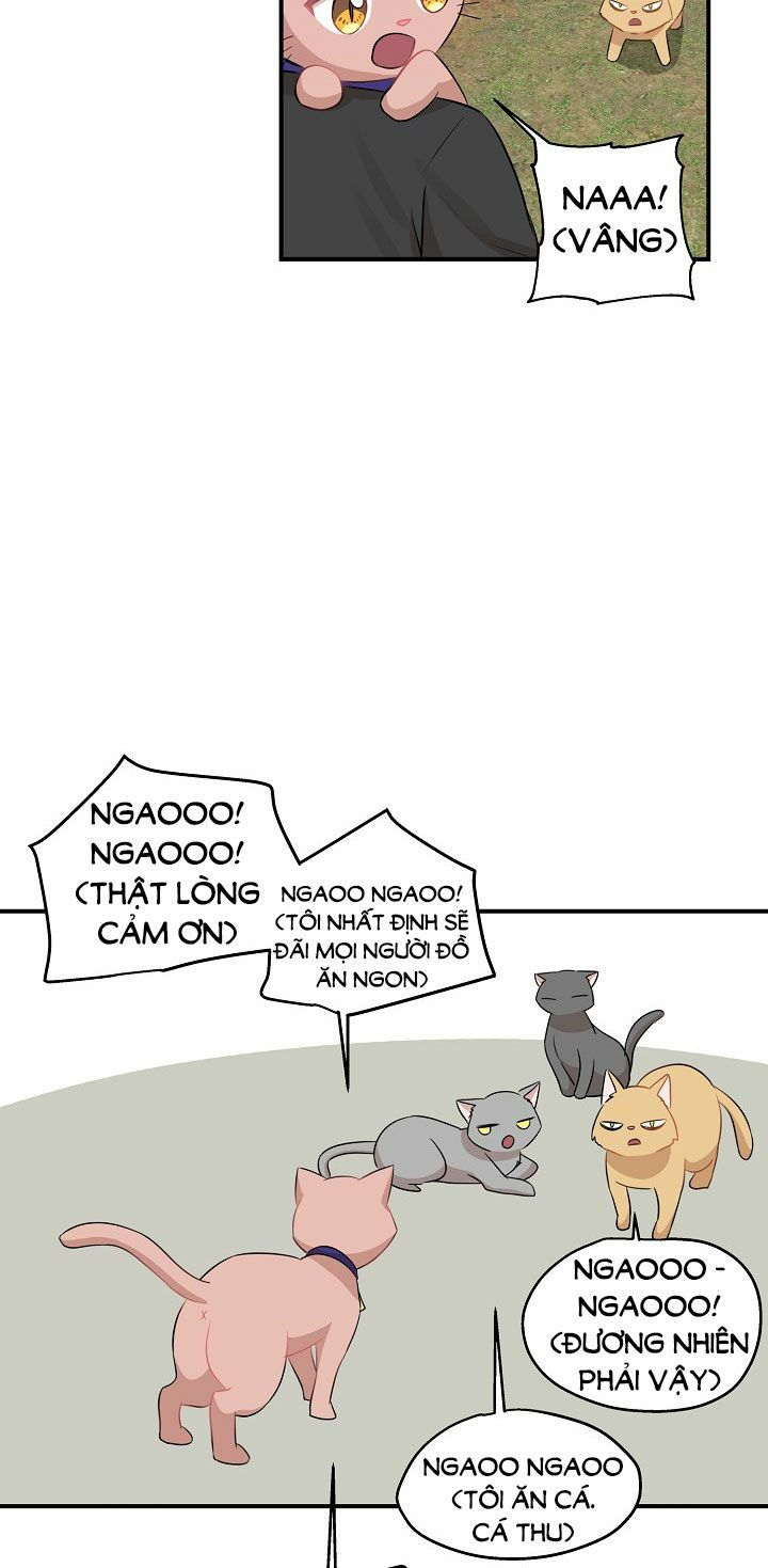 cuộc sống kỳ thú chapter 26 46