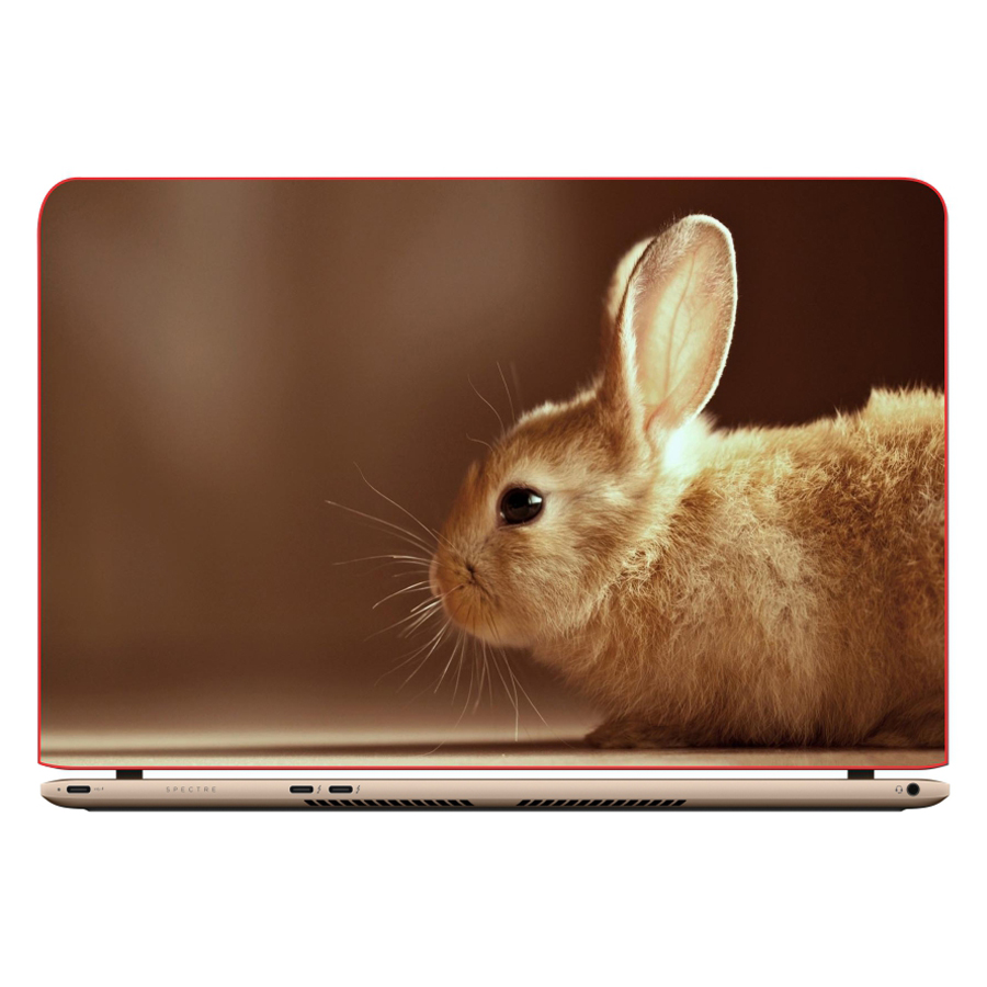 Miếng Dán Trang Trí Decal Laptop Trang Trí Animal Cartoon DCLTDV 206