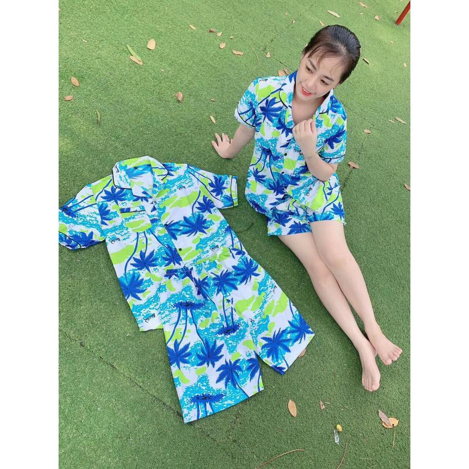 SET BỘ DỪA NỀN TRẮNG THÁI