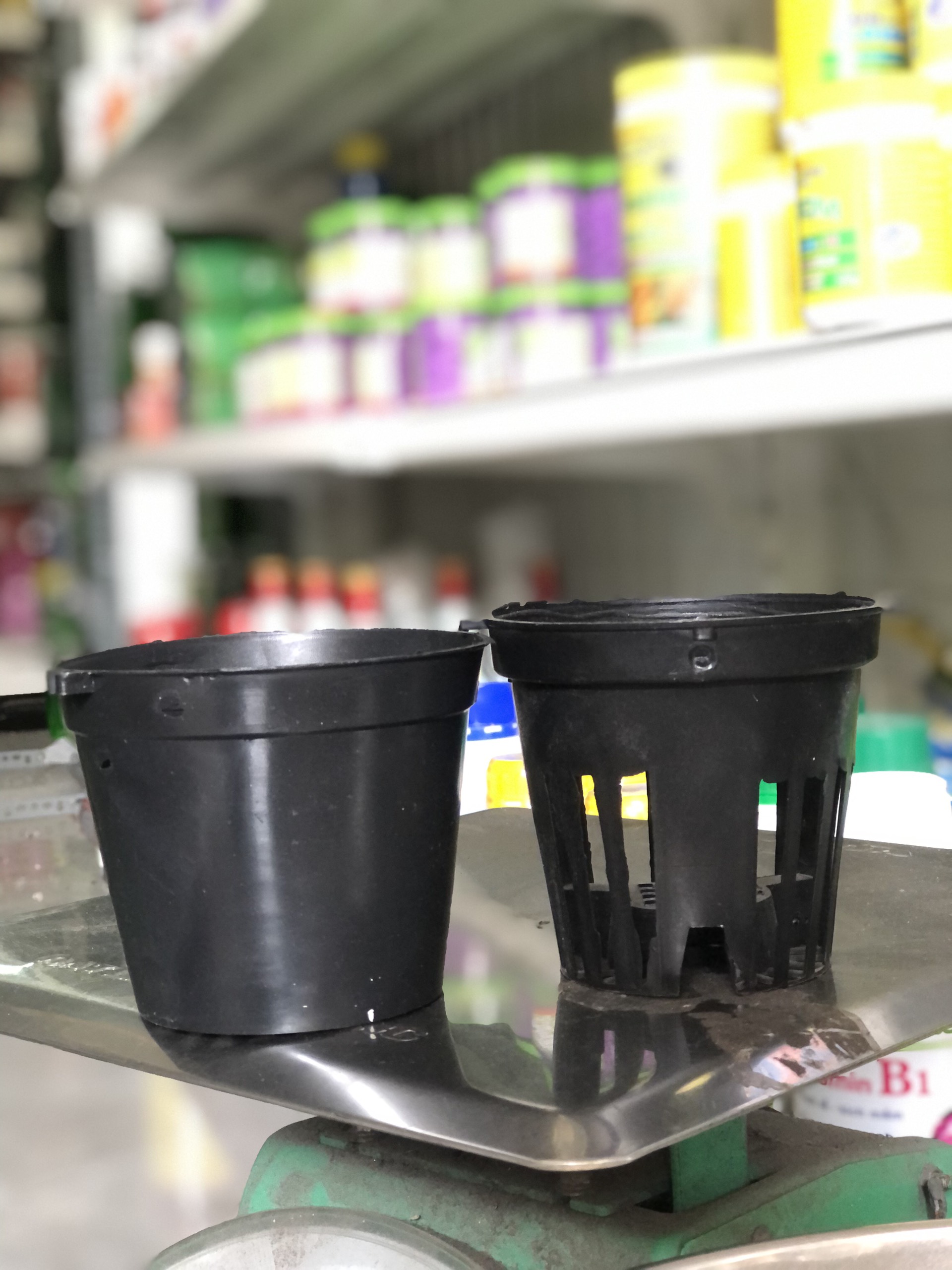 Chậu Nhựa Đen Trông Lan- 10cm