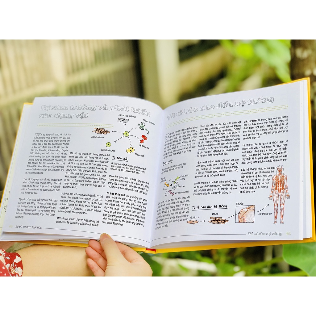 Sách Sinh Học - Sơ Đồ Tư Duy Sinh Học ( Mind Map Biology ) - Tổng Hợp Kiến Thức Sinh Học Cho Học Sinh THCS Và THPT Theo Sơ Đồ - Á Châu Books, BÌa Cứng, In Màu