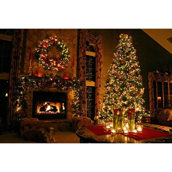 Bộ đèn bóng bi bọt nước dài 10m trang trí cây thông Giáng sinh Noel, trang trí cây mai cây đào Tết