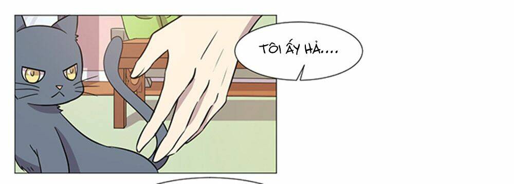 hai chú mèo totem chapter 37 25