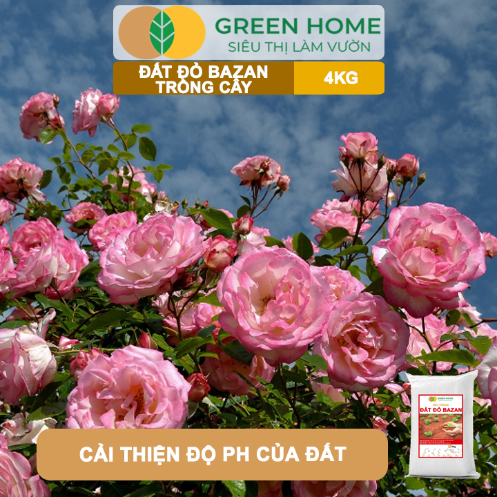 Đất Đỏ Bazan Greenhome, Bao 4Kg, Đất Trồng Cây, Bổ Sung Phân Hữu Cơ, Vi Sinh Trồng Hoa Hồng, Kiểng Lá, Rau