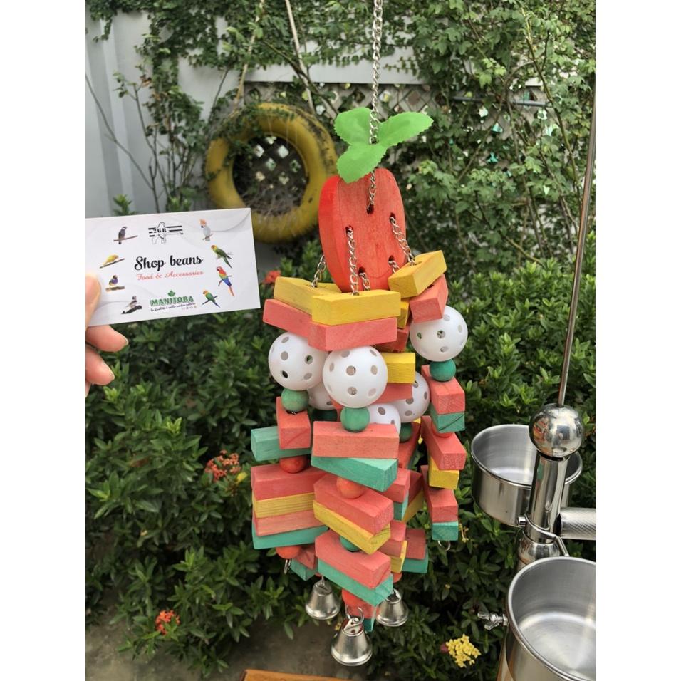 Chùm gỗ hình táo nhiều màu sắc đồ chơi dành cho vẹt : sun, xích, xám, amazon, macaw,….