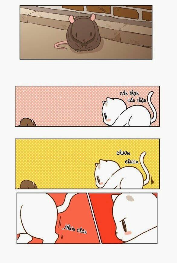 papi nyang chapter 17 11