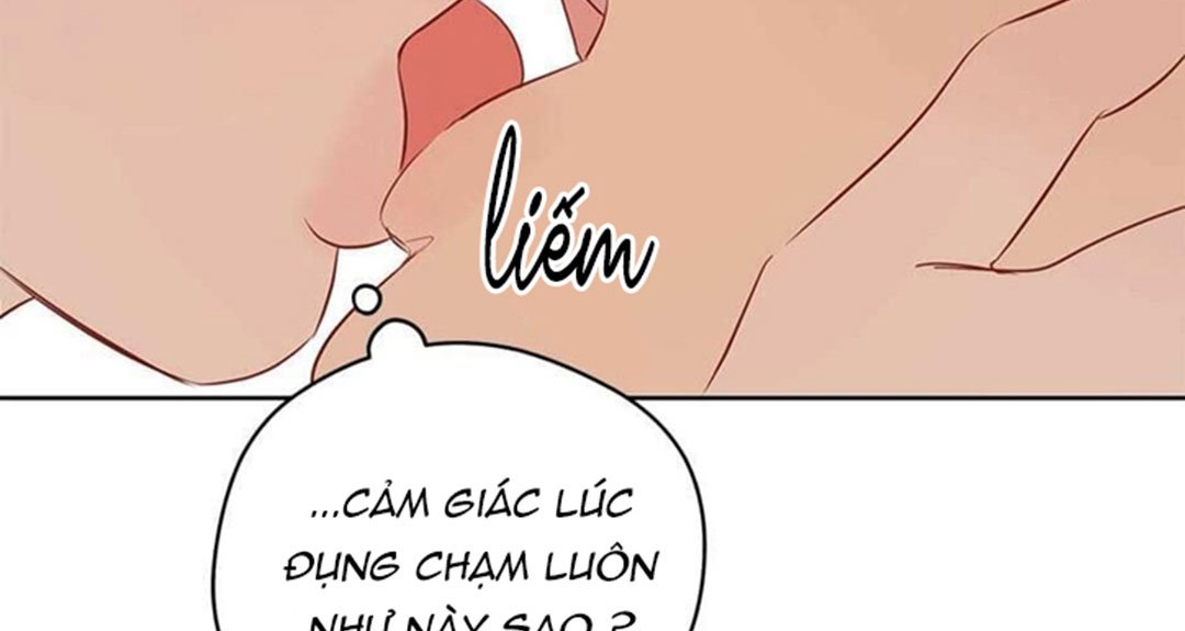 chuyện quái gì với giấc mơ đó vậy chapter 28 40