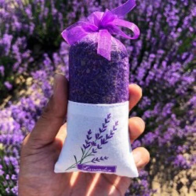 Túi Thơm Hoa Oải Hương Lavender