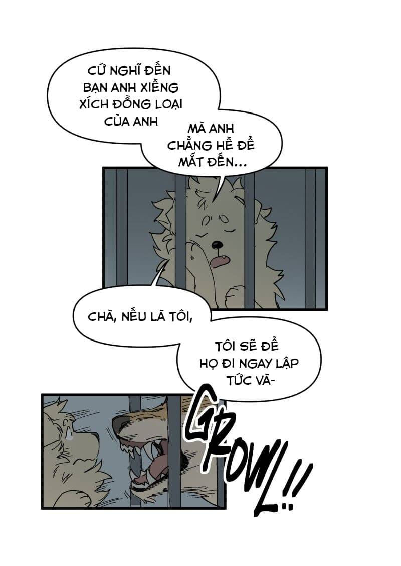 lumine - cội nguồn ánh sáng chapter 144 31