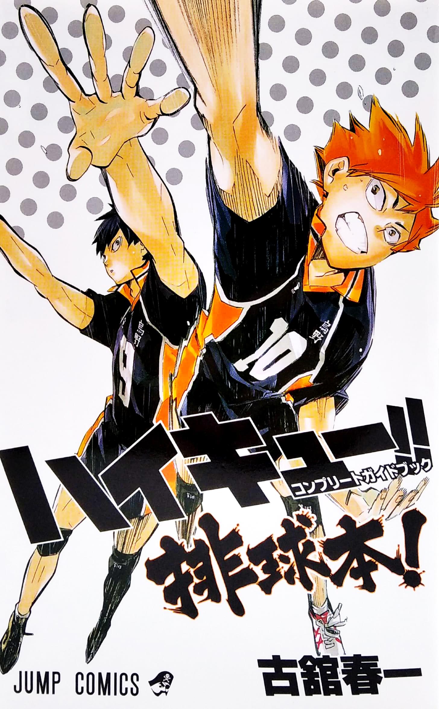Haikyu!! Complete Guide Book