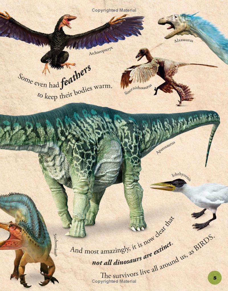 Sách ngoại văn: Everything You Need To Know About Dinosaurs