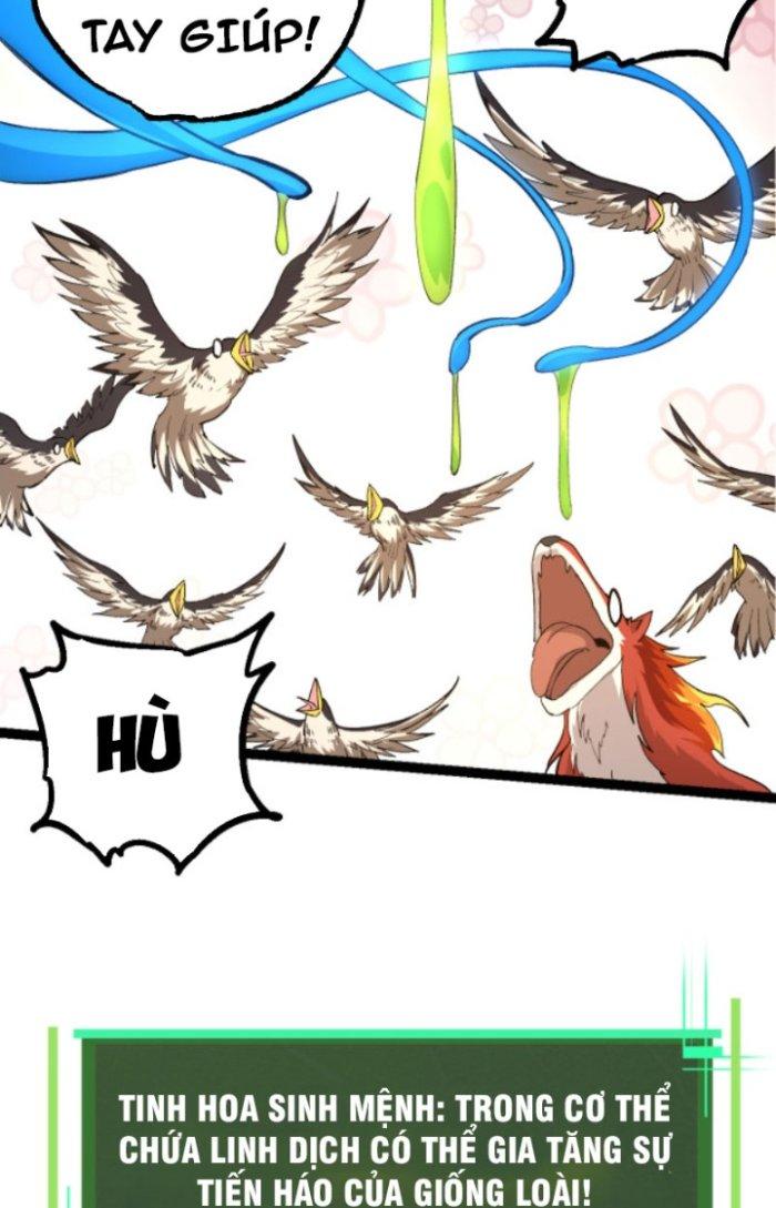 từ cây cổ thụ bắt đầu tiến hóa chapter 5 6