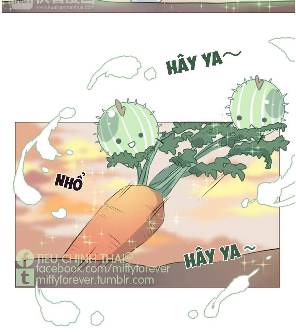 tiên thảo diệu kỳ chapter 4 26