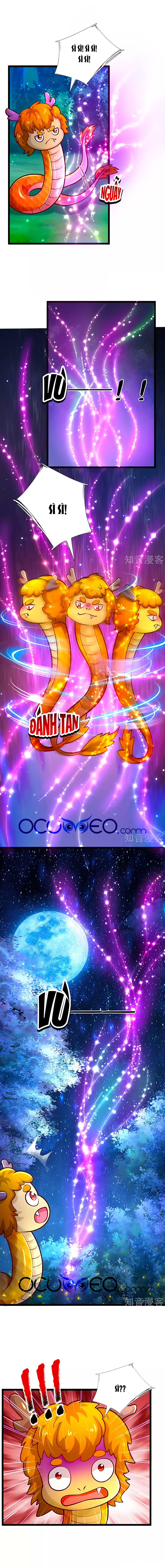 bỗng một ngày nọ trở thành con gái vua chapter 222 8