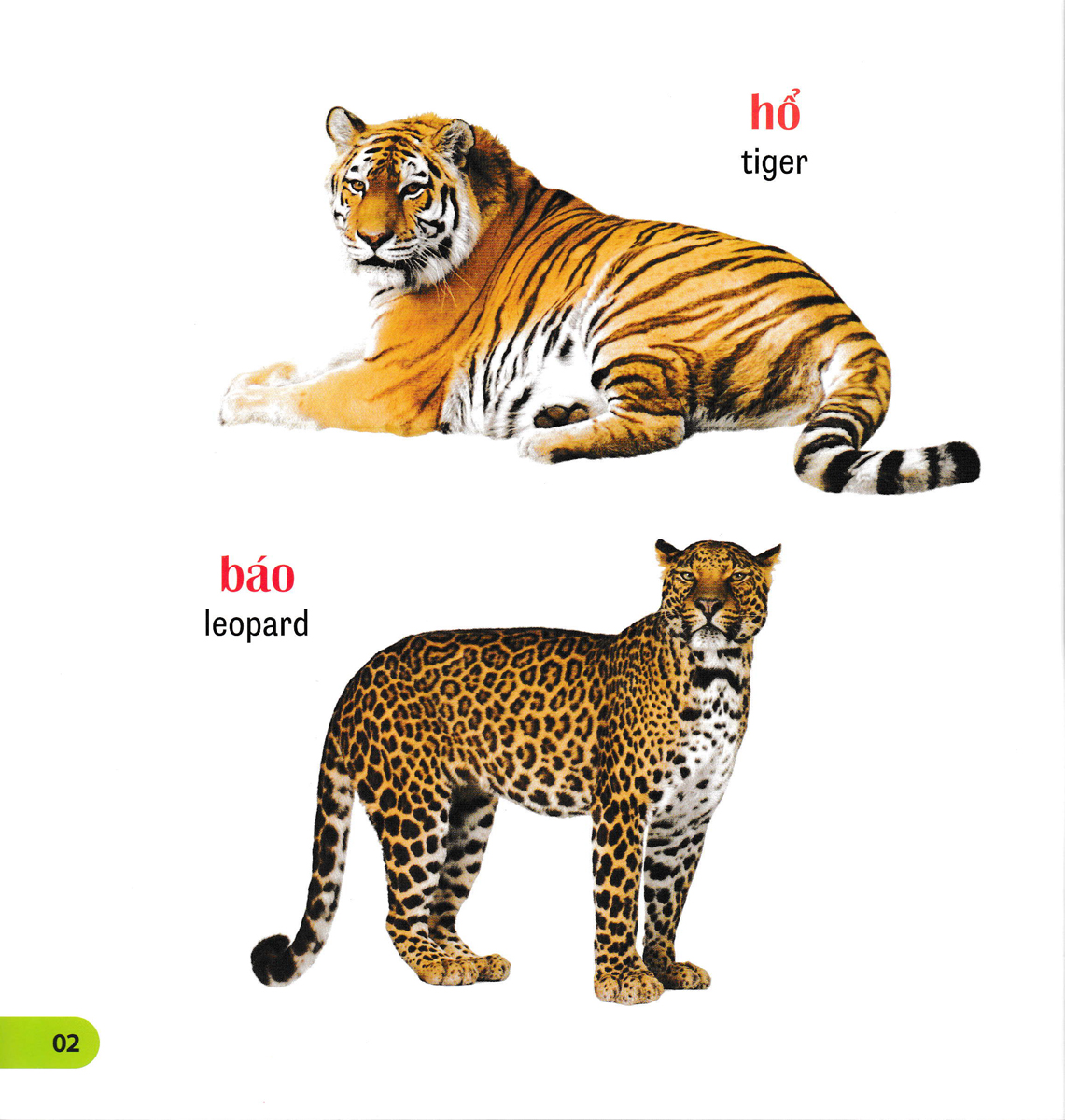 100 Từ Đầu Tiên Của Bé: Các Loài Vật - Bìa Mềm