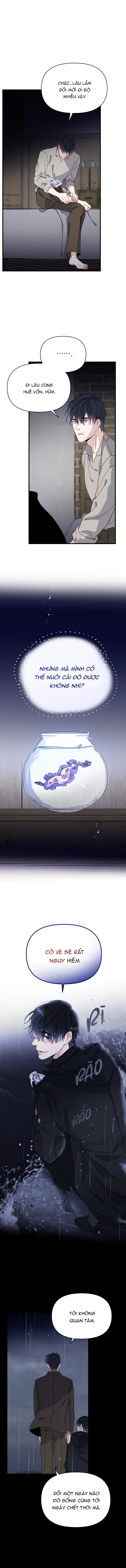 chàng tiên cá trên cạn chapter 1 11