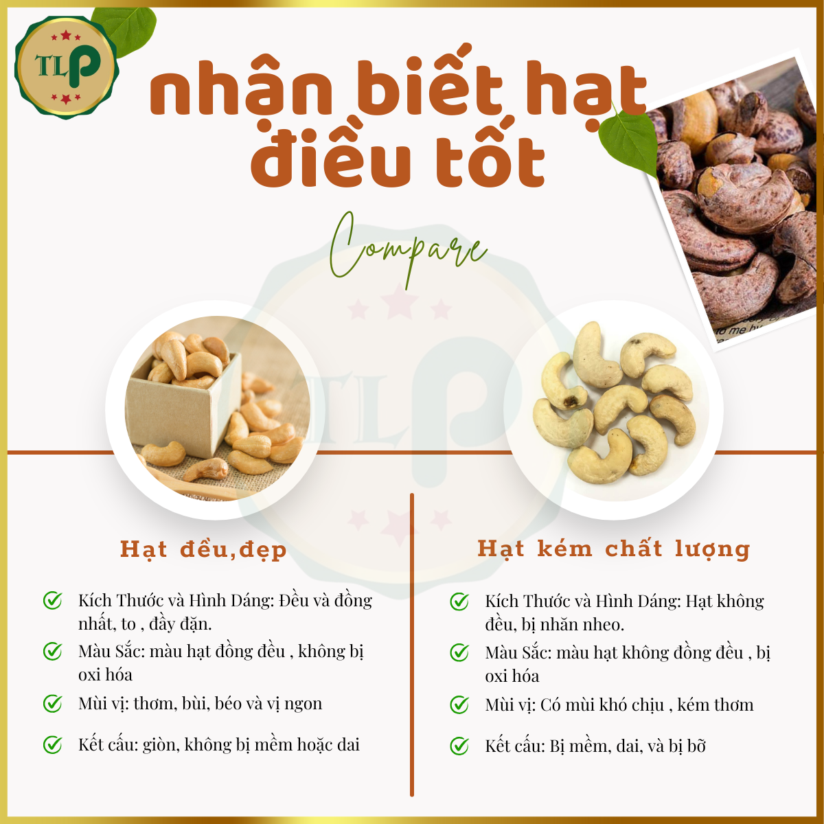 HẠT ĐIỀU RANG MUỐI XẾP HOA TÂN LỘC PHÁT HỘP 500G