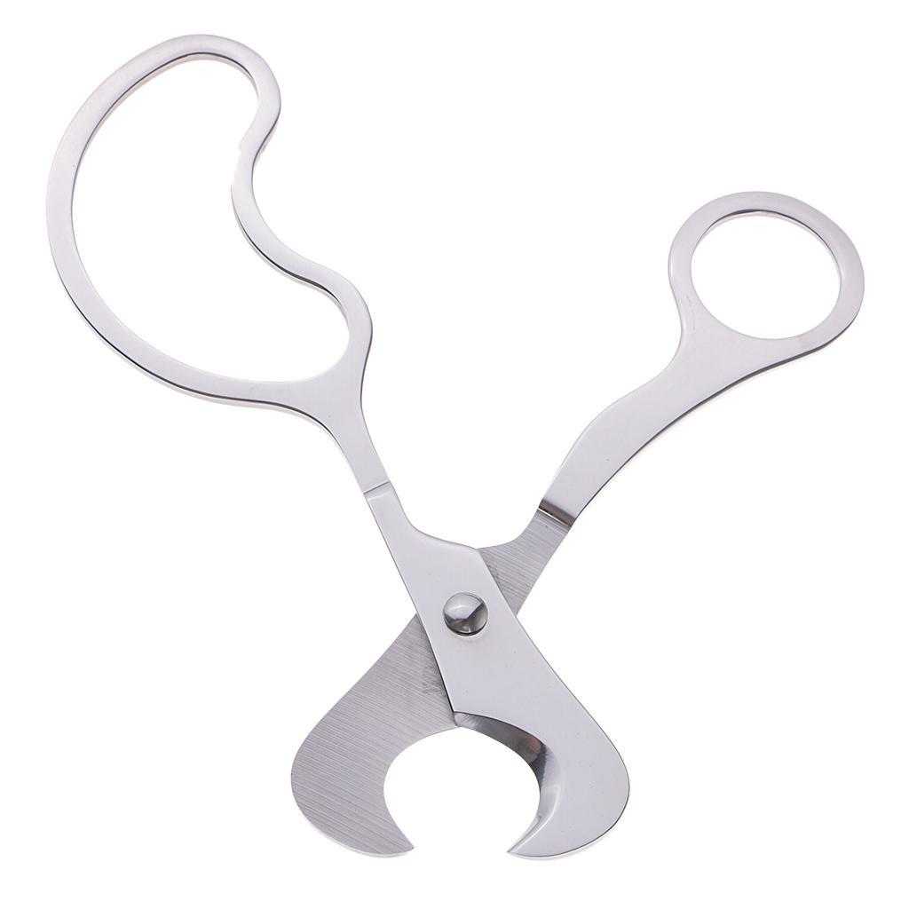 Sliver Stainless Steel Cutter Scissors Tool