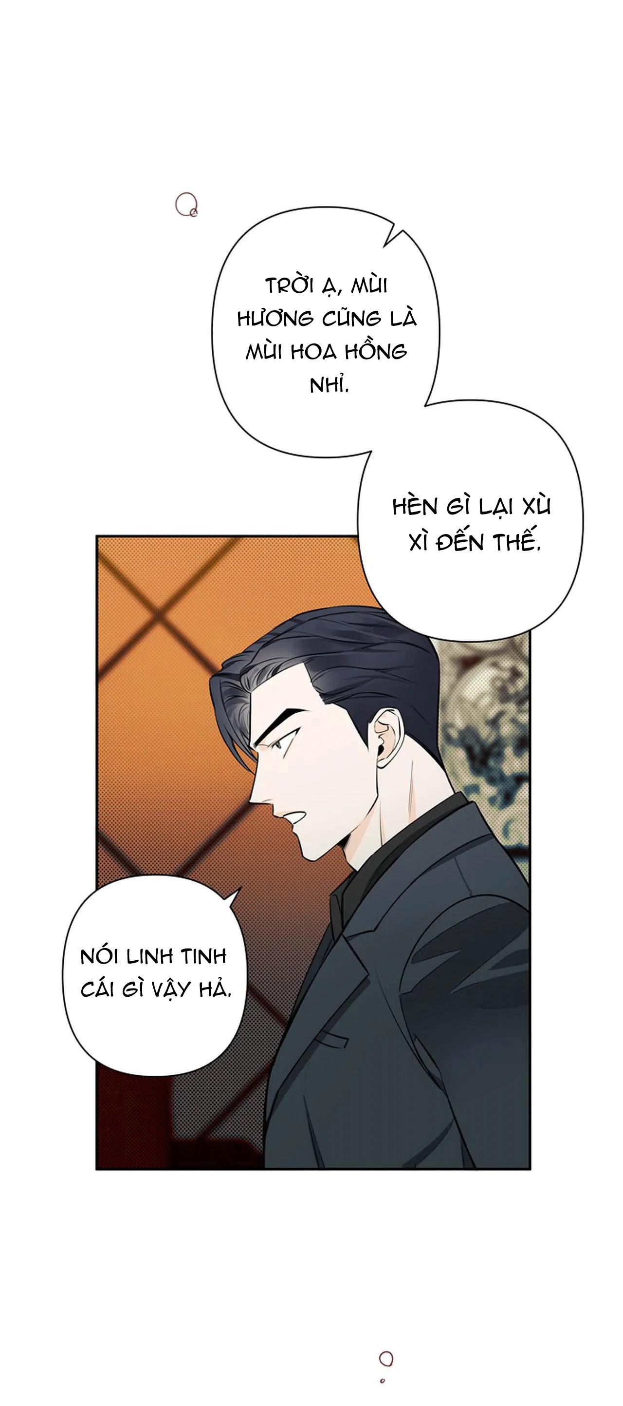 ĐÊM DỊU DÀNG chapter 36