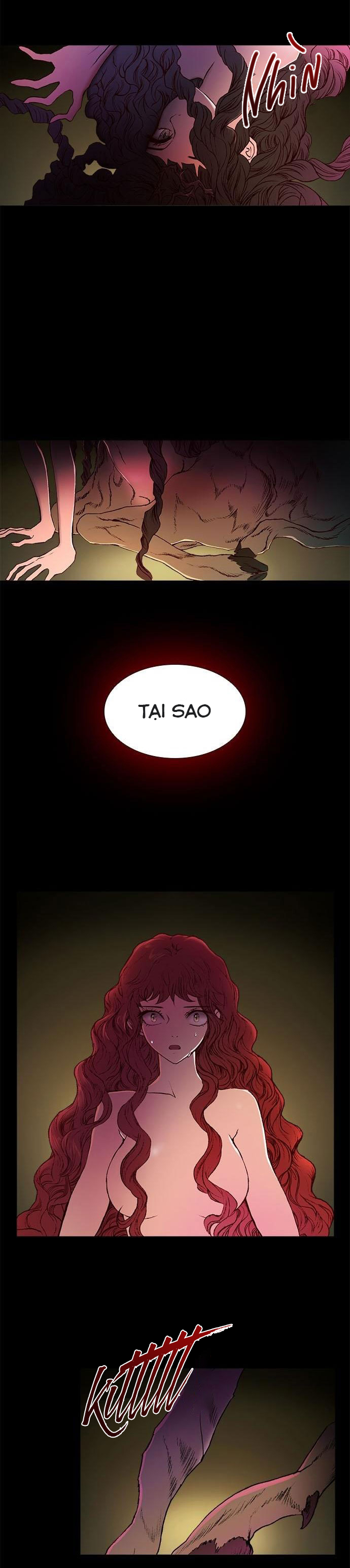 tôi chính là nhà sưu tập chim chapter 25.1 3