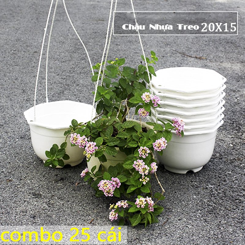 25 chậu treo trắng trơn đường kính 20x15cm-77471