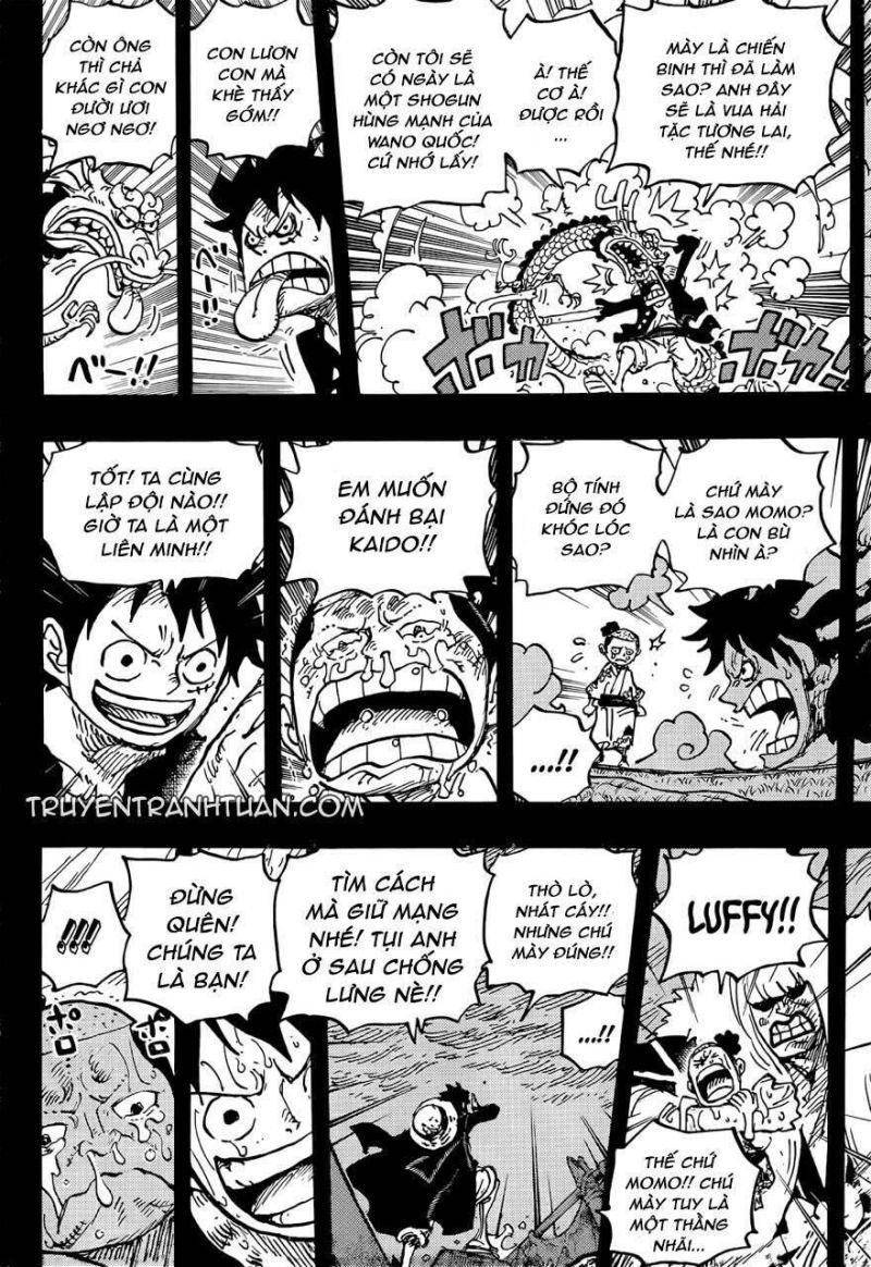 đảo hải tặc - one piece chapter 1057 5