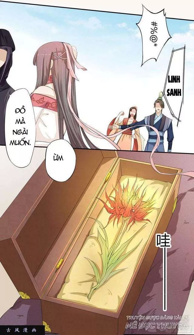 tuyệt thế luyện đan sư chapter 23 26