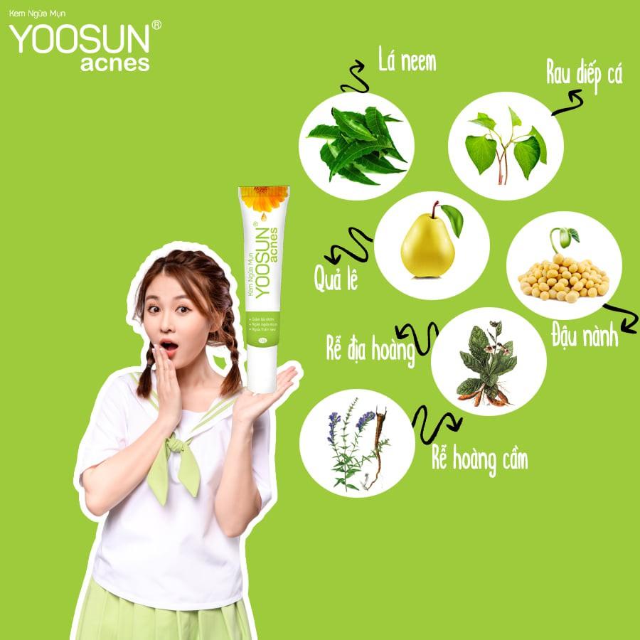 Kem ngừa mụn thiên nhiên Yoosun acnes 15g