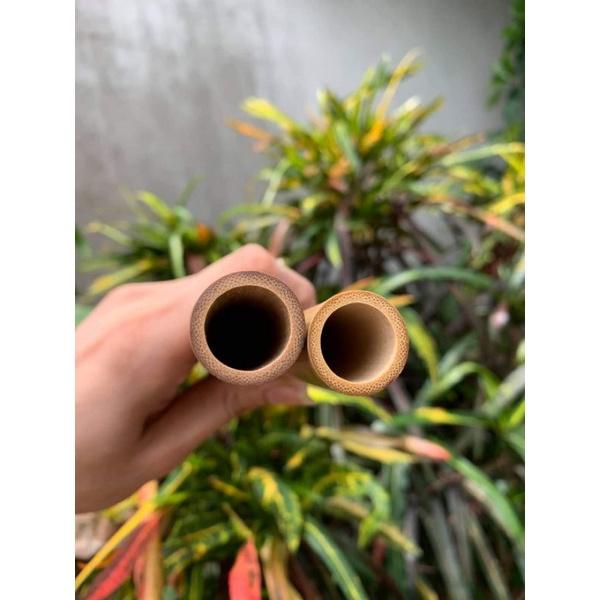 Sáo Trúc Nứa Bắc Vip Chuẩn Biểu Diễn