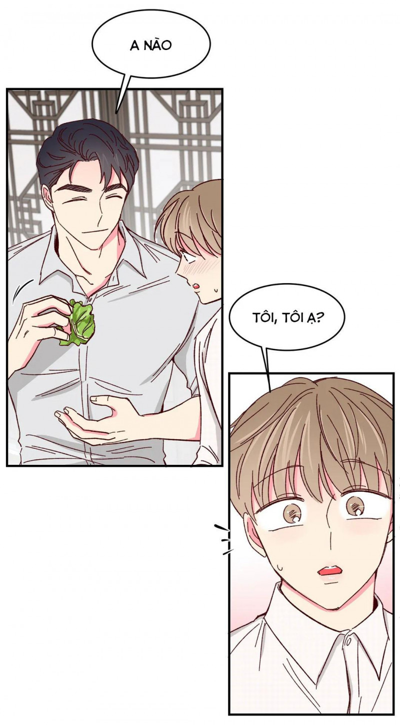 món tráng miệng của sếp tổng chapter 52 7