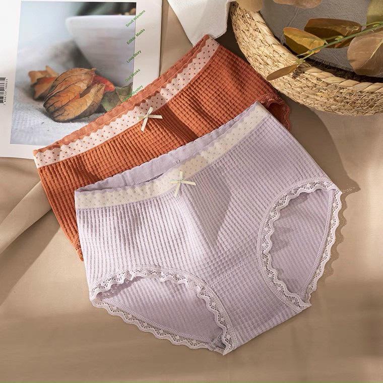 Combo 5 Quần Lót Cotton Tăm Viền Kẻ Phối Nơ Cao Cấp 028