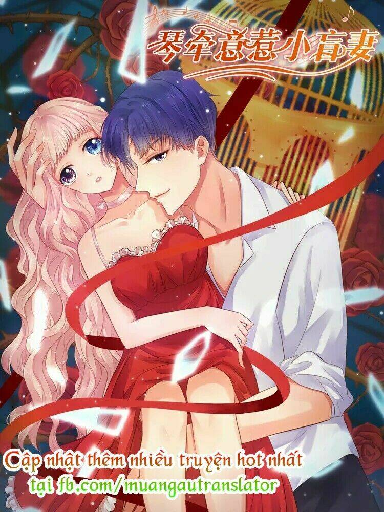 cô vợ nhỏ bị mù của hàn thiếu chapter 1 48