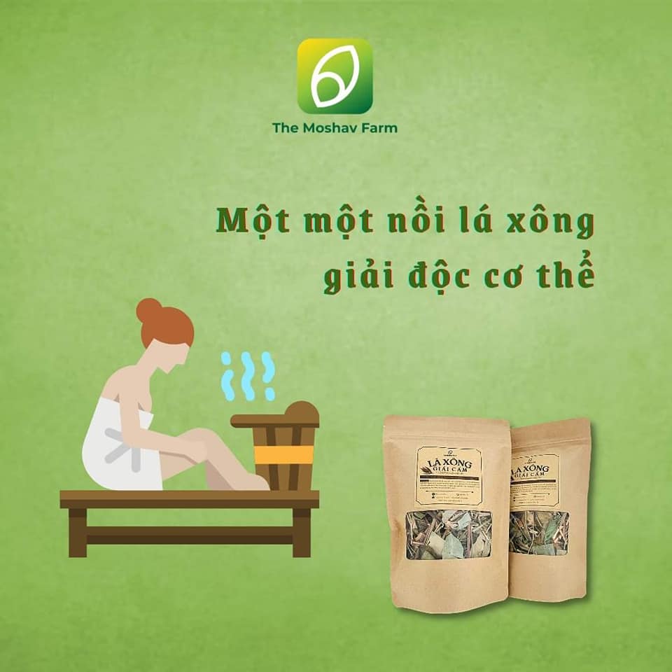 Túi Lá Xông Giải Cảm The Moshav Farm - Xông Giải Cảm Cúm, Hạ Sốt, Thải Độc, Xông Sau Sinh