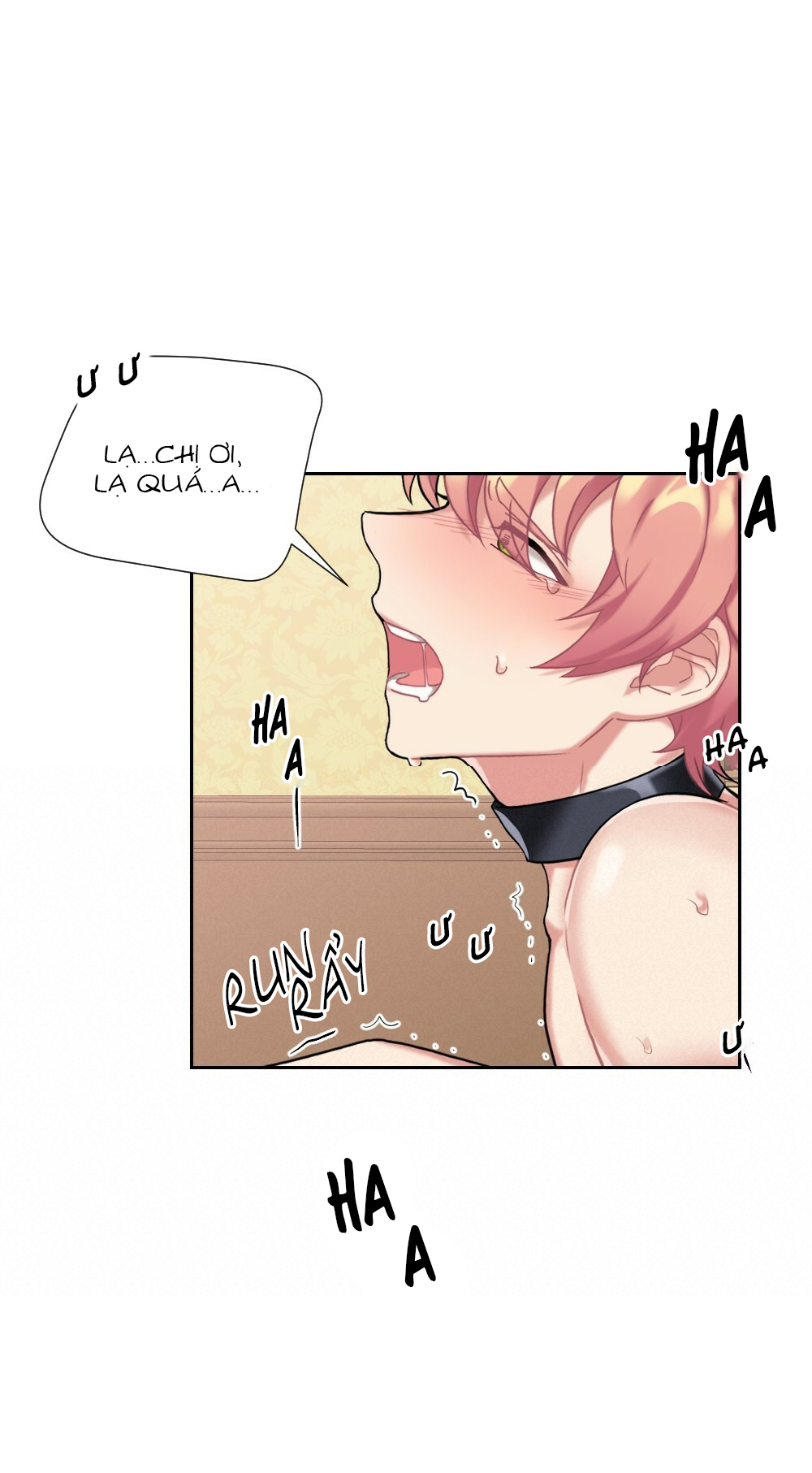 tiểu thư và dàn hầu nam mlem chapter 14 38