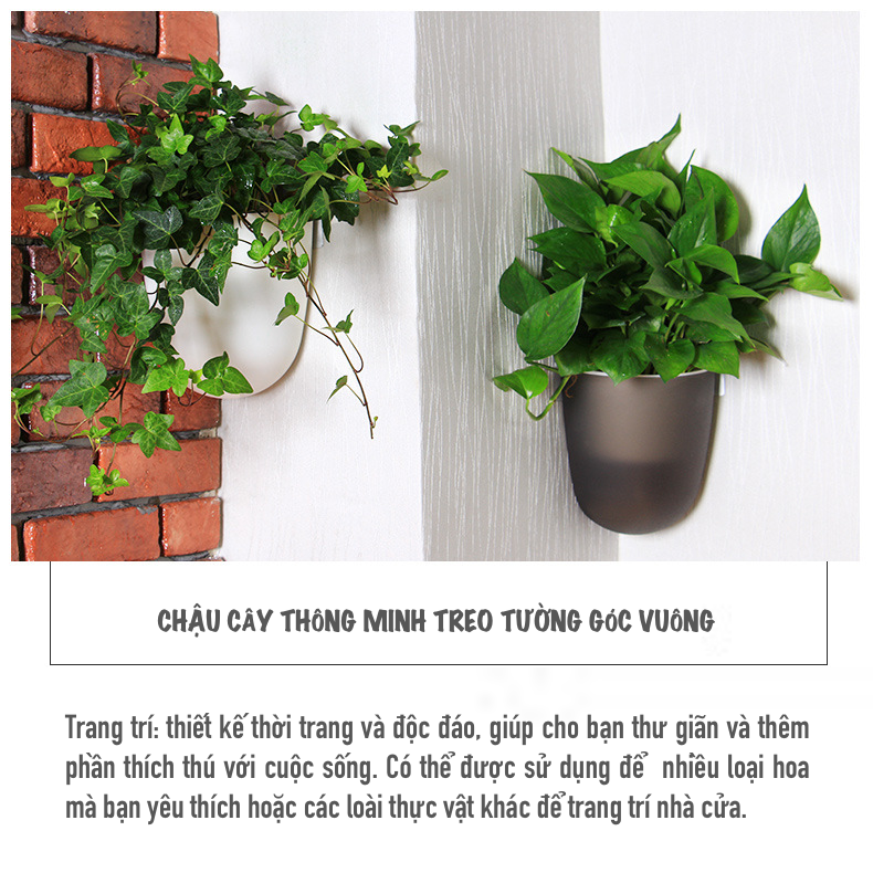 Chậu cây treo tường Oliz K07 - Chậu trồng cây tự tưới, dùng cho tường vuông góc 90 độ