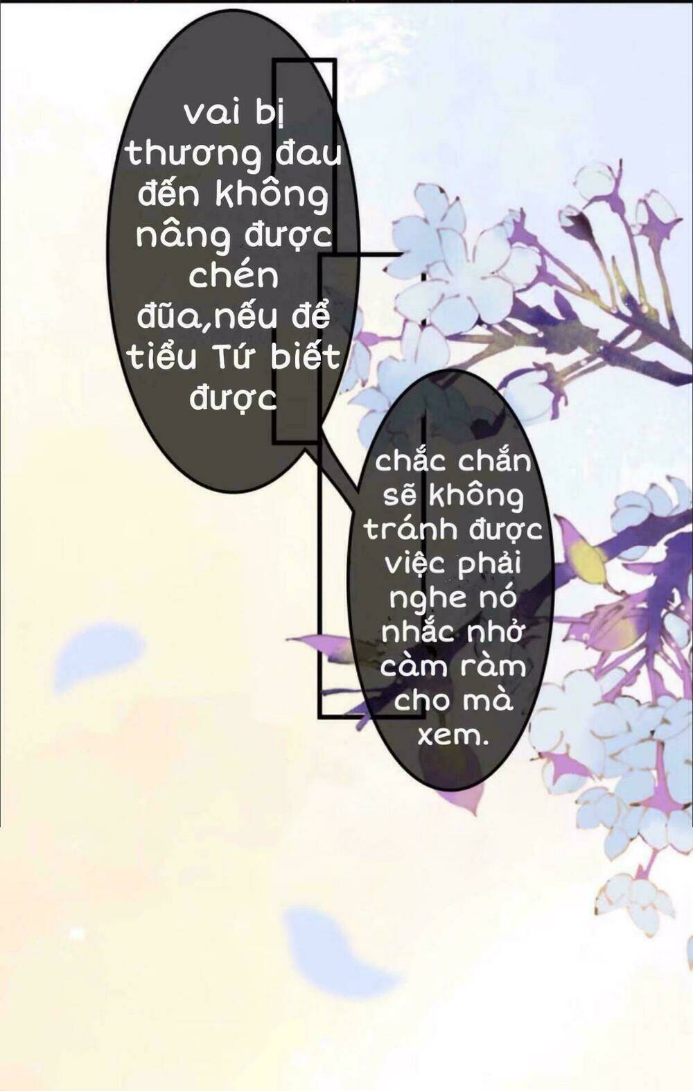sủng phi của vương chapter 29 9