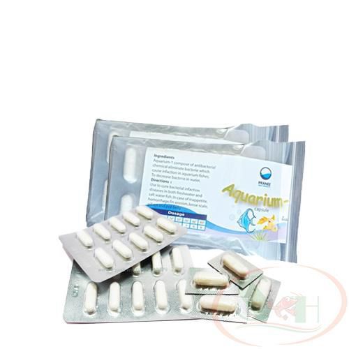 Viên Pranee Aquarium-1 xử lý cá tép chết lai rai bột kháng sinh sát khuẩn nấm cho cá tép