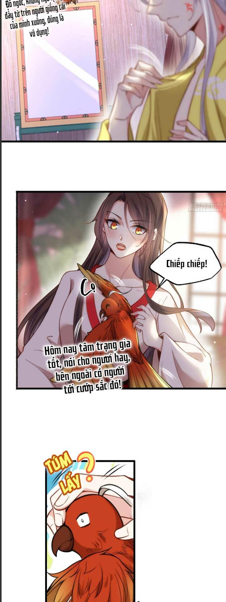 hoạn phi thiên hạ chapter 204 5