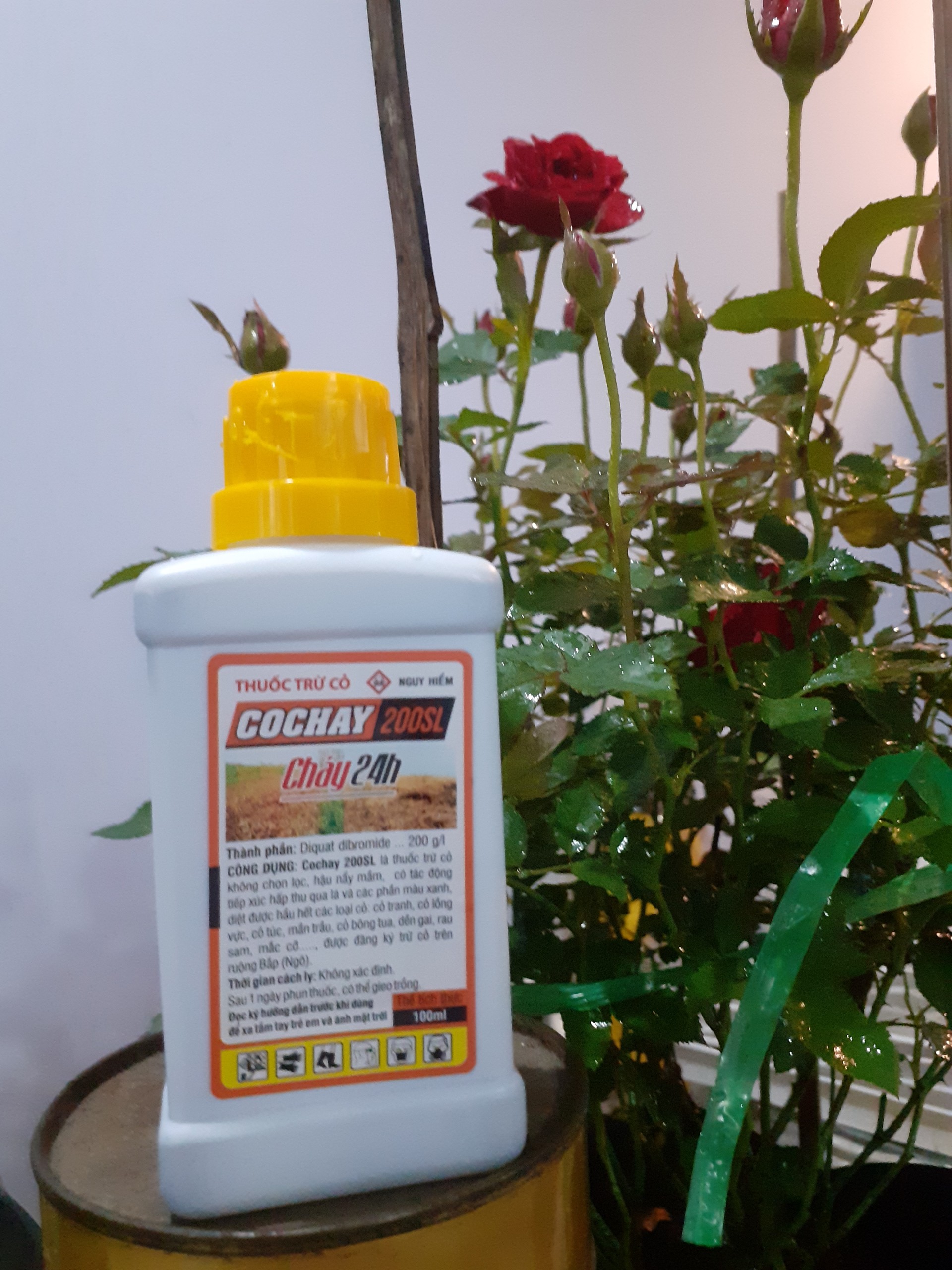 Chế phẩm trừ cỏ