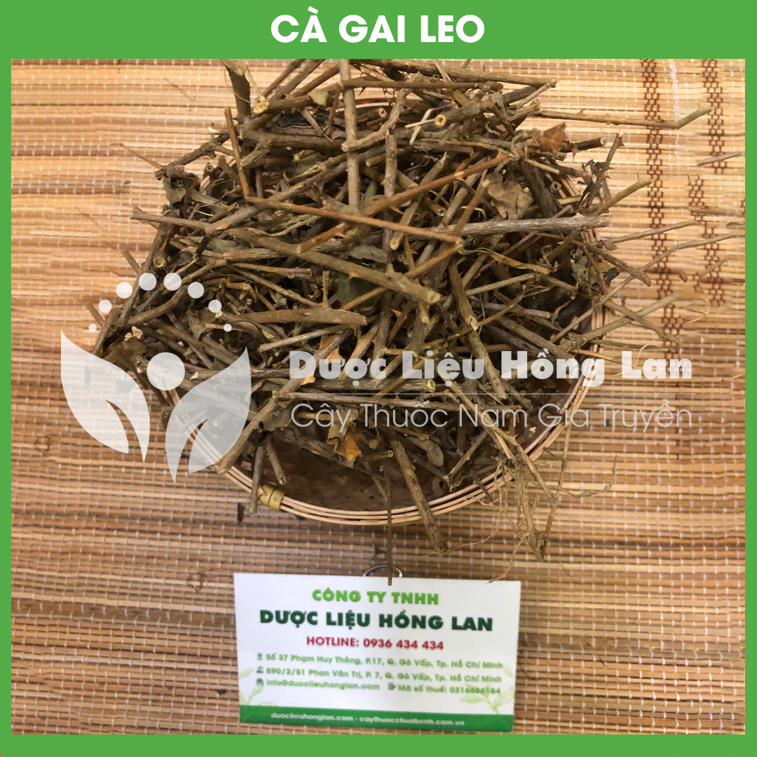 Cây CÀ GAI LEO khô sách đóng gói 1kg